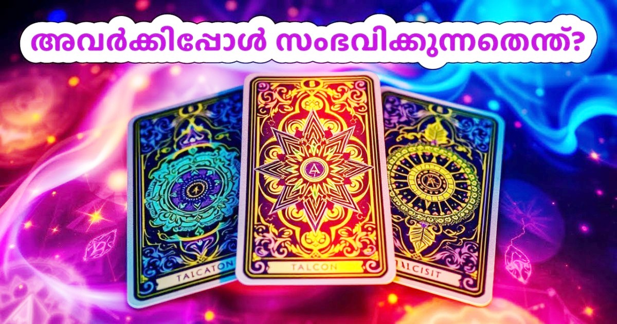 The Best Indian Tarot Card Reader
