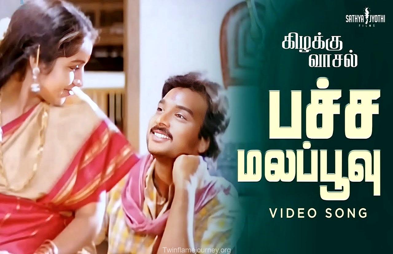 Pachamala Poovu Song Lyrics - Kizhakku Vasal - Deeplyrics