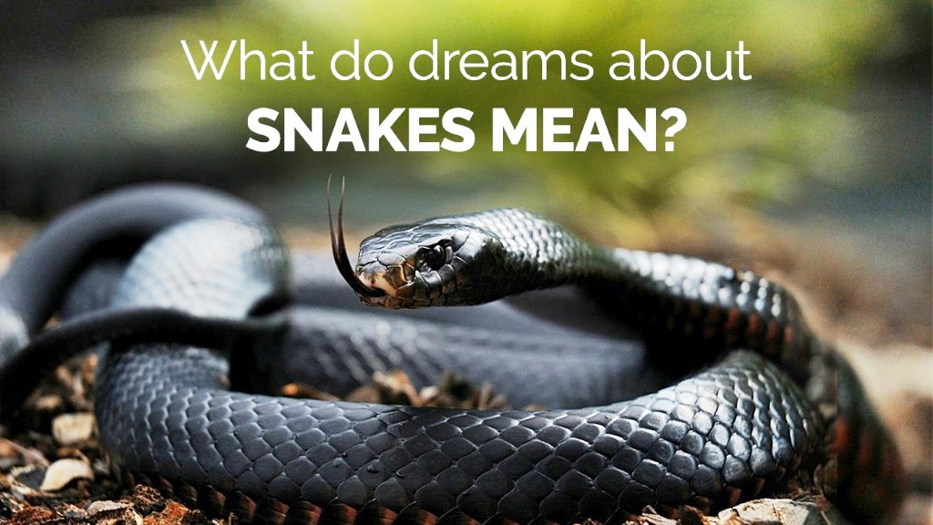 Snake dream meaning in Malayalam